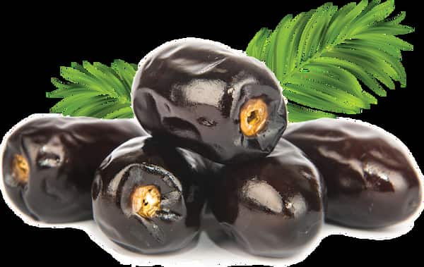 قیمت خرید + فروش ویژه خرما رطب بم